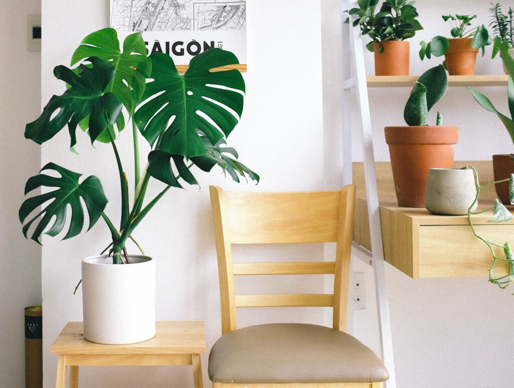 suasana-rindang-tanaman-desain-interior-rumah-minimalis